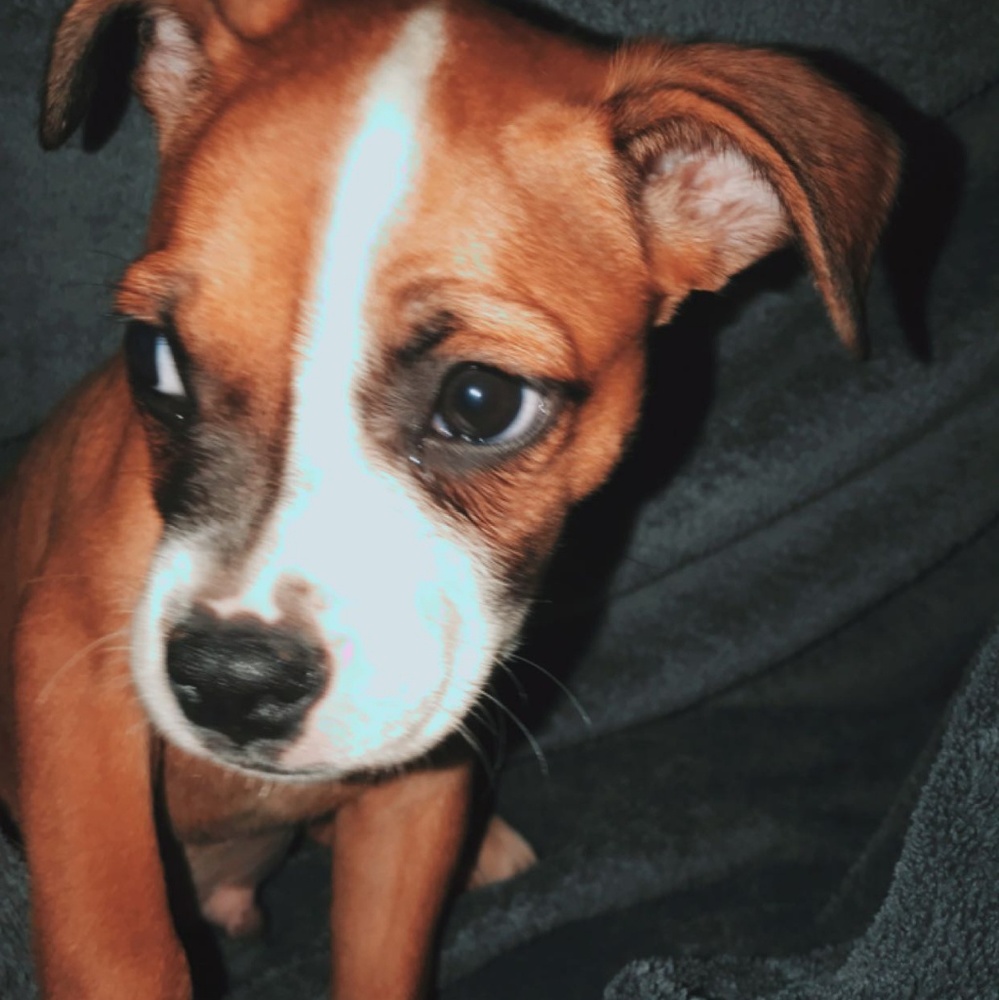 Meet your Posher, Lilly